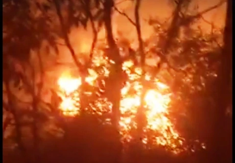 Tạm giữ đối tượng gây cháy xưởng trong rừng tràm