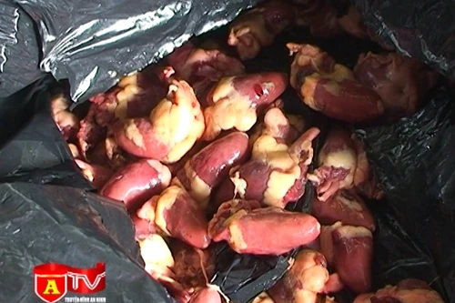 Bắt giữ vụ vận chuyển 1 tấn nội tạng bẩn không rõ nguồn gốc 