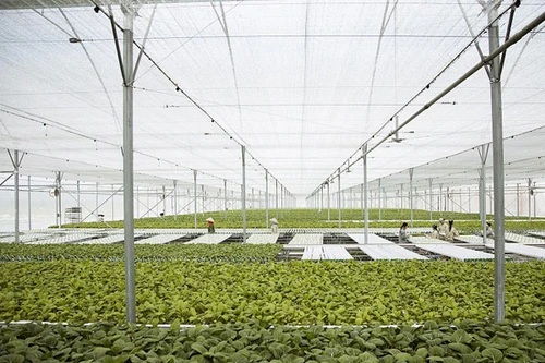 Vingroup liên kết với 1.000 hợp tác xã và hộ nông dân cung ứng nông sản sạch và an toàn