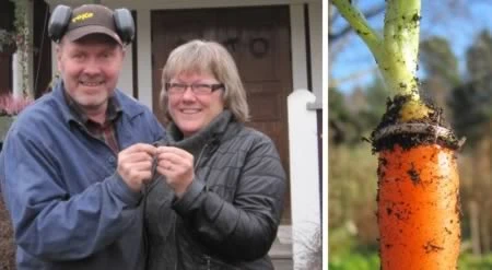 Những chuyện tình cờ, khó tin nhưng có thật