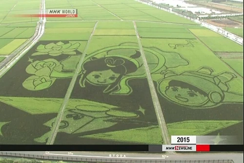 Tác phẩm tạo hình lớn nhất thế giới trên đồng lúa