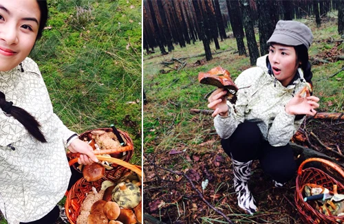 Theo chân Hoa hậu Ngọc Hân đi hái nấm tại rừng Carpat - Slovakia