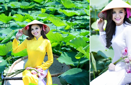 Hoa hậu Diễm Hương "tung" ảnh chụp giữa đầm sen Tây Hồ