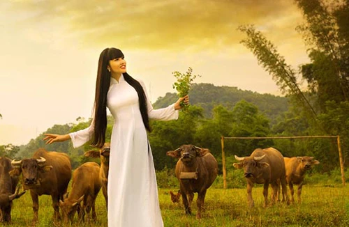 Hoa hậu Triệu Thị Hà “thả dáng” giữa đồng quê