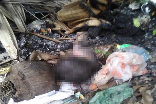 Thương tâm cháu bé sơ sinh tử vong, bị mẹ ruột đốt phi tang
