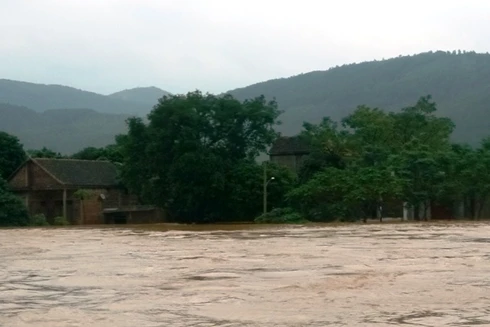 Một cụ già bị nước lũ cuốn trôi khi đi nhận quà cứu trợ