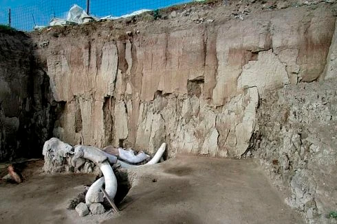 Phát hiện gây sốc về hố bẫy voi ma mút đầu tiên trong lịch sử loài người