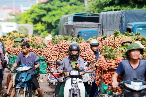 Xuất khẩu nhiều, nhưng thương hiệu quốc gia còn yếu