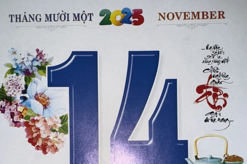 Xem lịch âm - Lịch vạn sự hôm nay ngày 14 tháng 11 năm 2025 tốt hay xấu? 