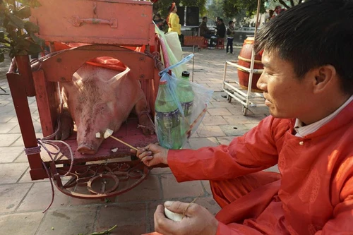 Lễ hội chém lợn, không diễn ra công khai giữa sân đình