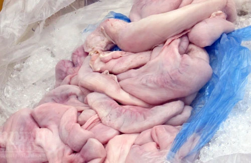 Chặn trên 1 tấn tràng, nầm thối... xuyên Việt "hụt"