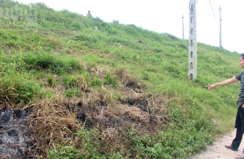 Nữ sinh ép người yêu tự thiêu giữa trưa hè