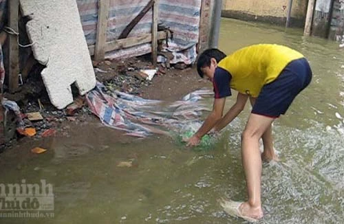 Dân Hà Nội tiếp tục bì bõm, bắt cá giữa phố