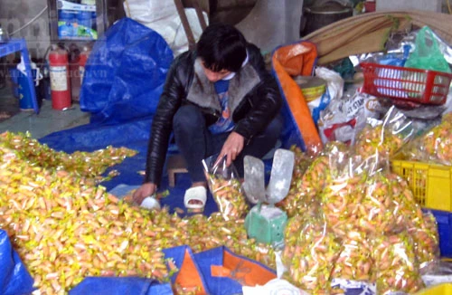 900kg kẹo ngô dẻo sản xuất bằng nguyên liệu trôi nổi