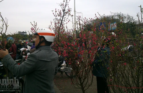 Nhộn nhịp chợ Tết ngày cuối năm