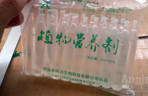 Ngăn chặn vụ tung 80.000 lọ hóa chất "thúc" giá đỗ lớn nhanh đi khắp Việt Nam