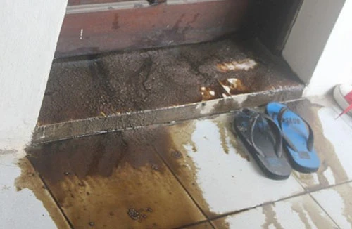 Khủng bố “con nợ” bằng… phân và mắm tôm