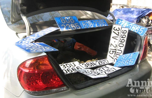 Lái xe 80B, gắn còi ủ, phóng 140km/h vì chở...tê tê lậu