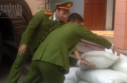 Vừa phát hiện lượng hóa chất “siêu khủng” kích thích giá đỗ