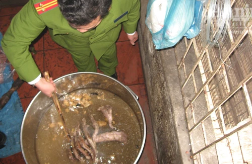 Cận cảnh vụ nấu cao hổ giữa lòng Thủ đô 