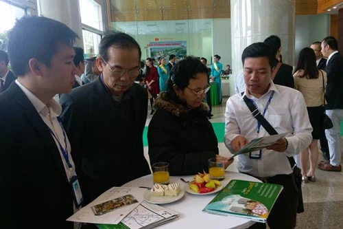 Nam Cường khai trương căn hộ mẫu Anland Complex