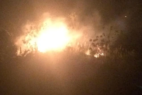 Hà Nội: Nhiều vụ cháy cây cảnh, thảm cỏ không rõ nguyên nhân