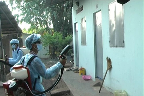 Sẽ xử phạt các tổ chức, cá nhân bất hợp tác phòng chống Zika