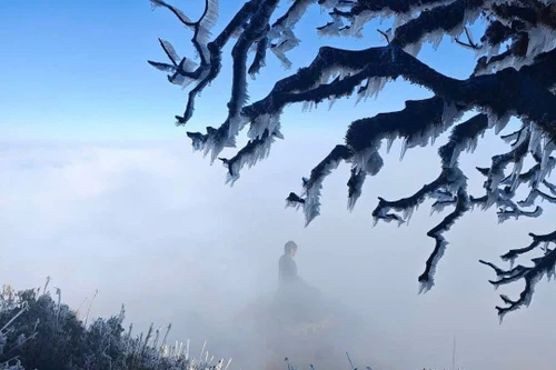 Sáng nay, băng giá lại phủ trắng đỉnh Fansipan