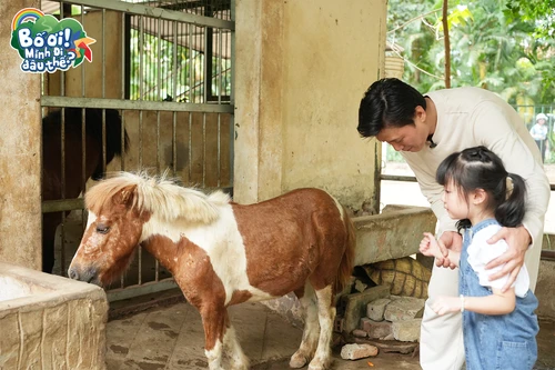 “Bố ơi, mình đi đâu thế?” trở lại: Quách Ngọc Tuyên và con gái cùng khoảnh khắc "đốn tim" khán giả