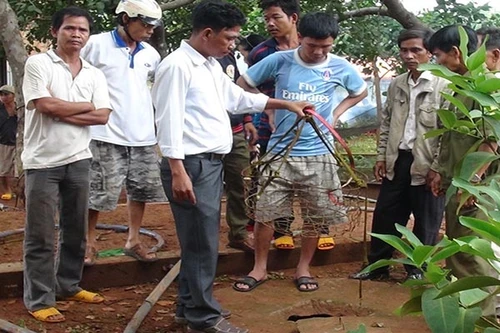 Đau lòng nghi án mẹ sát hại hai con chấn động ở Bình Phước