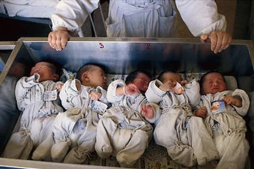 “Động trời”, nhà hộ sinh “tiếp tay” cho đường dây mua bán trẻ sơ sinh