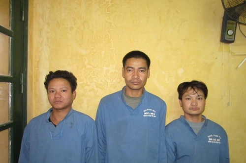 Hy hữu chuyện dắt 2 con nghé trộm cắp được đi tự thú