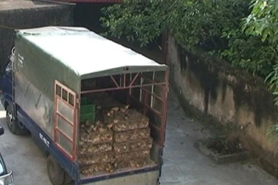 Chiếc xe mang 3 biển kiểm soát chở gia cầm lậu