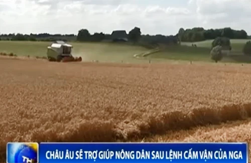 Châu Âu sẽ trợ giúp nông dân sau lệnh cấm vận của Nga