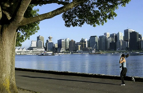 Triệu phú Trung Quốc ồ ạt xin nhập cảnh Canada