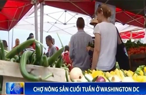 Chợ nông sản cuối tuần ở Washington DC