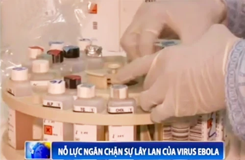 Virus Ebola đang lây lan mạnh ở Tây Phi