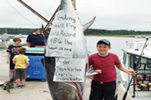 10 tuổi câu được cá ngừ 220kg