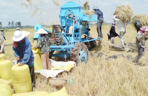 LienVietPostBank cho vay tạm trữ thóc gạo lãi suất 9%/năm