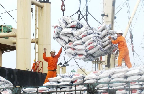 Kinh tế Việt Nam phục hồi từ mức đáy