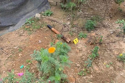 Dùng điếu cày đập anh họ tử vong