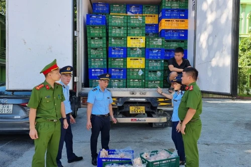 Chặn 10 tấn gà đông lạnh không rõ nguồn gốc, chuẩn bị được vận chuyển đi tiêu thụ
