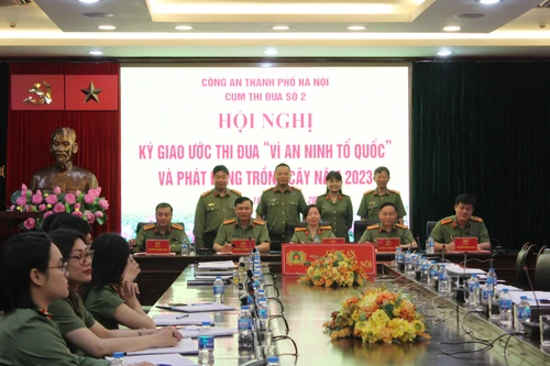 Chủ động triển khai hiệu quả các hoạt động phong trào thi đua