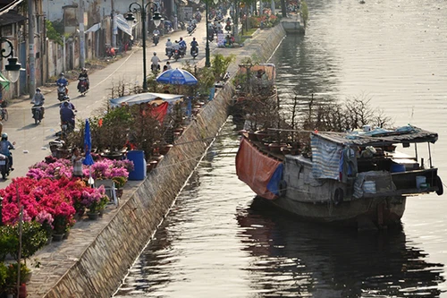 Mùa thuyền hoa về phố