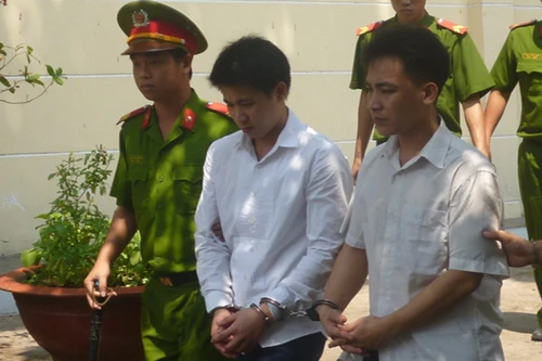 Siêu lừa đảo, "hô biến" mèo nhà thành... hổ con