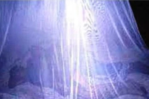 Bắt giữ nhóm "ma nhớt" rạch mùng ở miền Tây