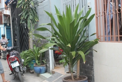 Hai mẹ con bị dí dao, cướp tài sản trong đêm tối