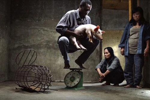 Nhà sản xuất phim “Vị” có “tiền hậu bất nhất”?