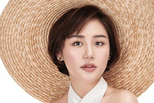 Dàn “sao” Việt tham gia “Ngày Việt Nam ở Thụy Sỹ 2021"