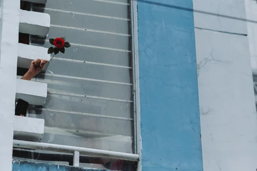 MC Quỳnh Hoa kể về bông hoa đặc biệt tại bệnh viện dã chiến TP.HCM